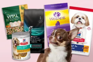 dog food brands of 2023 per veterinarians
