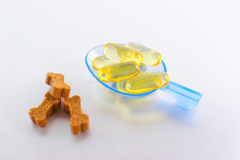 Zusatz von Vitaminen im Hundefutter Preis Omega-Öl-Kapseln für Tiere mit Leckerlis