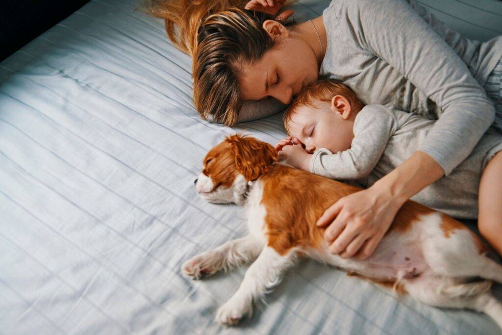 11 Diseases You Can Get if You Sleep with Dogs