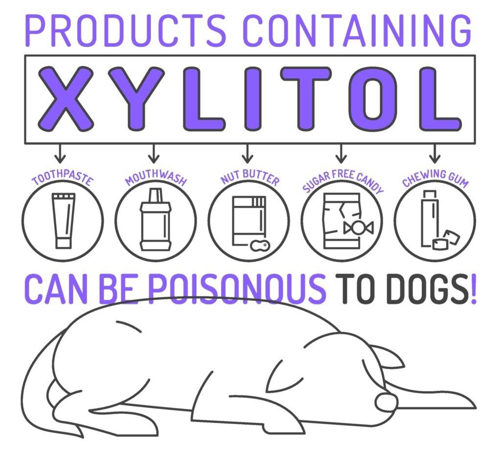 Xylitol poisoning in dogs What is poisonous to dogs