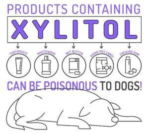 Xylitol poisoning in dogs What is poisonous to dogs
